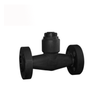 Forged steel pressure seal check valve