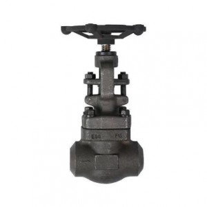 Forged steel butt welded globe valve