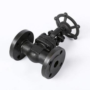 Forged steel flange connection globe valve