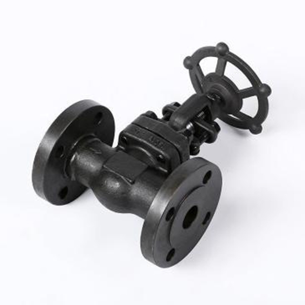Forged steel flange connection globe valve