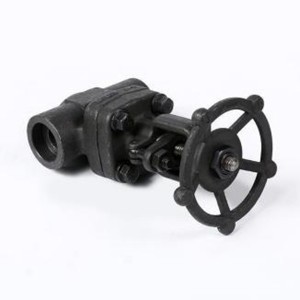 Forged steel socket welded gate valve