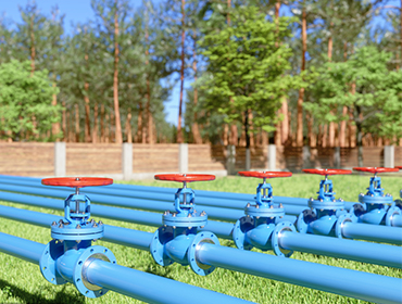 Petroleum Pipeline