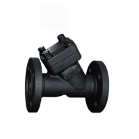 Forged steel flange connection Y type strainer